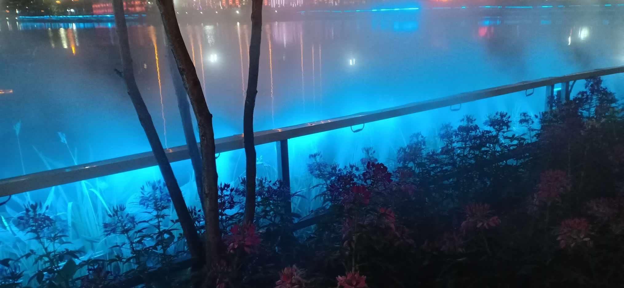 探索职高考大学有限制吗?领域的知识星球平台